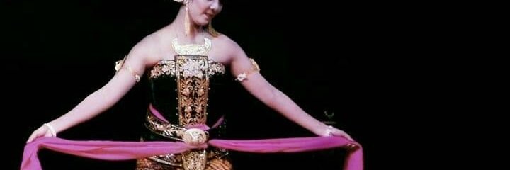 auliaarsilaa's profile banner image