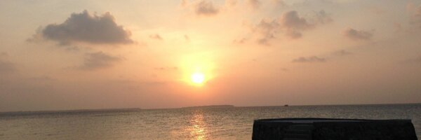 Sevim_Devlin Profile Banner