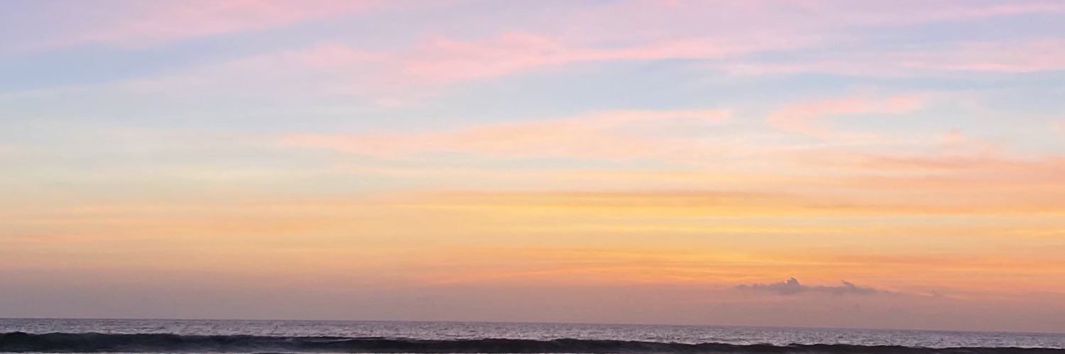 amandaaavn's profile banner image