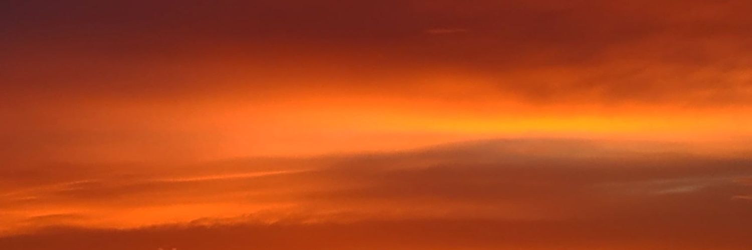 palmopaolo's profile banner image