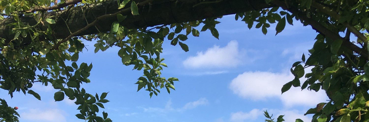 smurffit's profile banner image