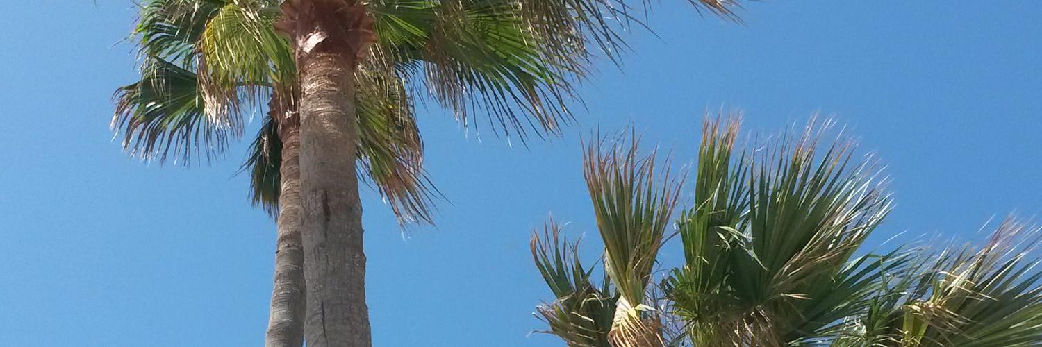 vkoliver's profile banner image