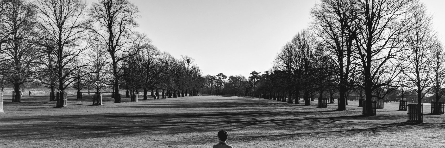 Tim Jacob banner