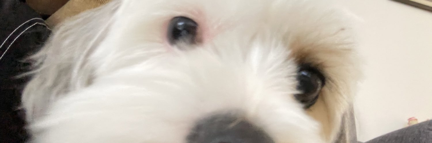 messinawith1s's profile banner image