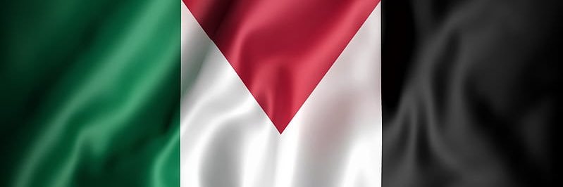 farwishm's profile banner image