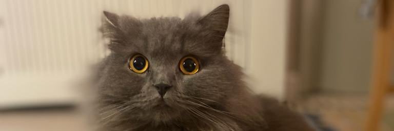 milesy11's profile banner image