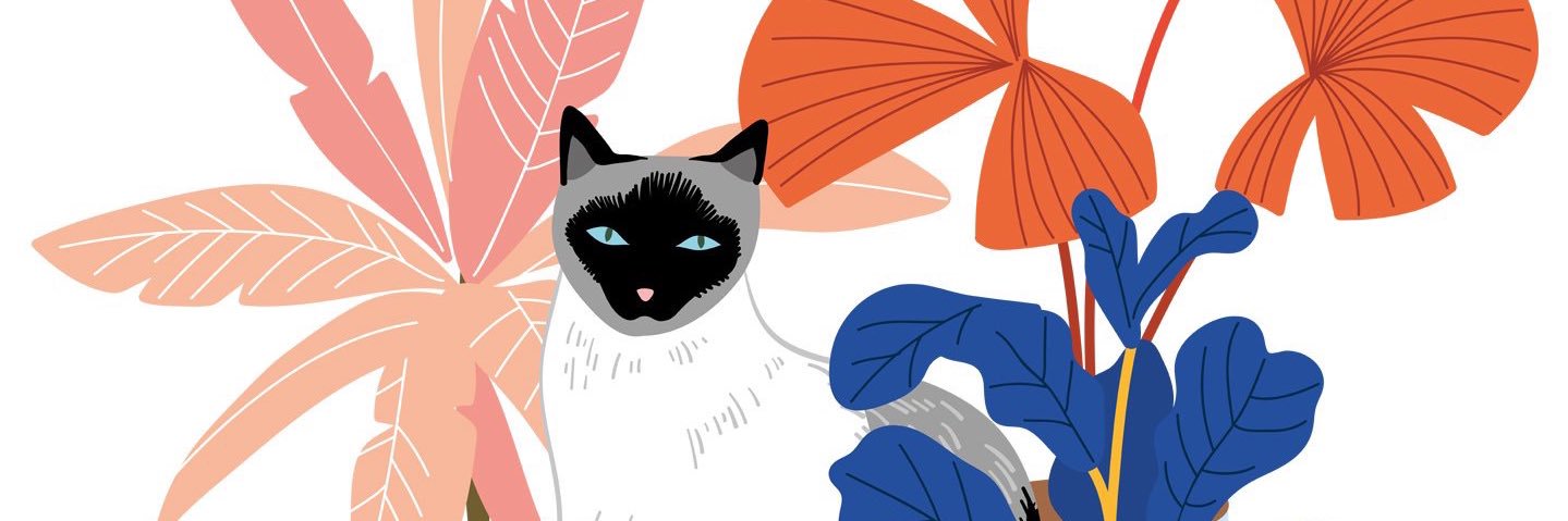 patatachip's profile banner image