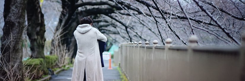 ooneko47's profile banner image