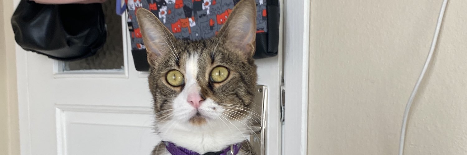 limechocolatee's profile banner image