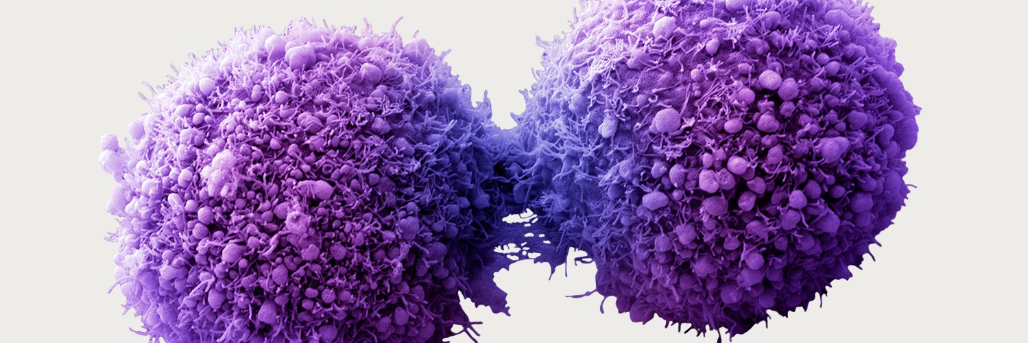 BMCBiology's profile banner image