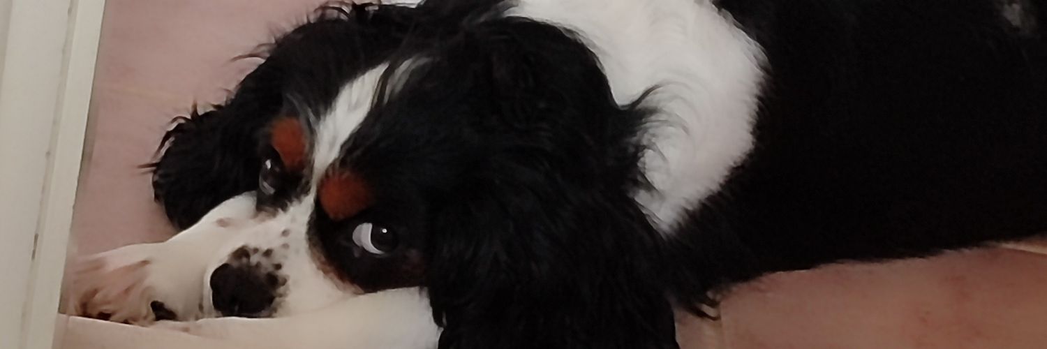 baharasyaay's profile banner image