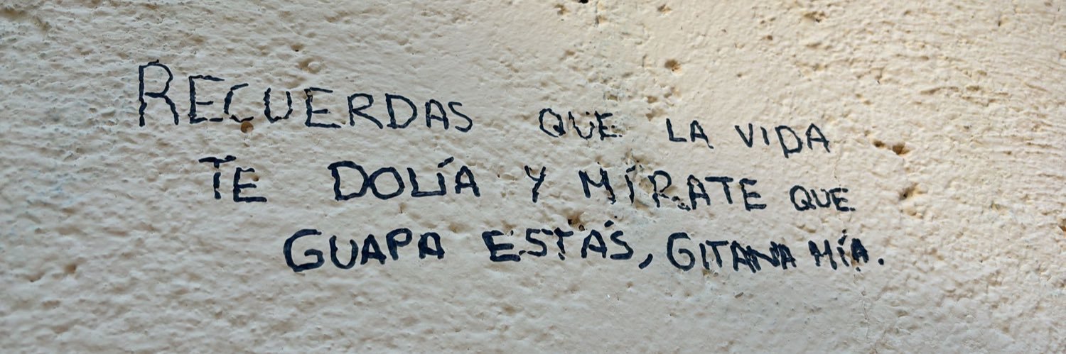 luisamrml's profile banner image