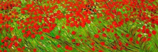 abdulfalanfilan's profile banner image