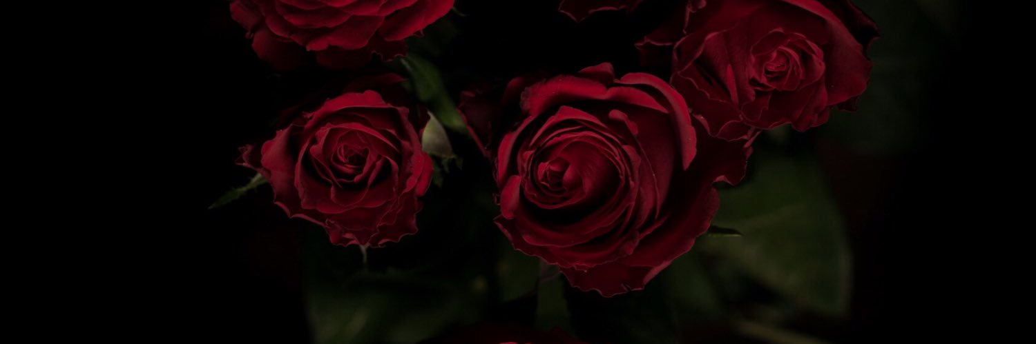 chernovaa18's profile banner image