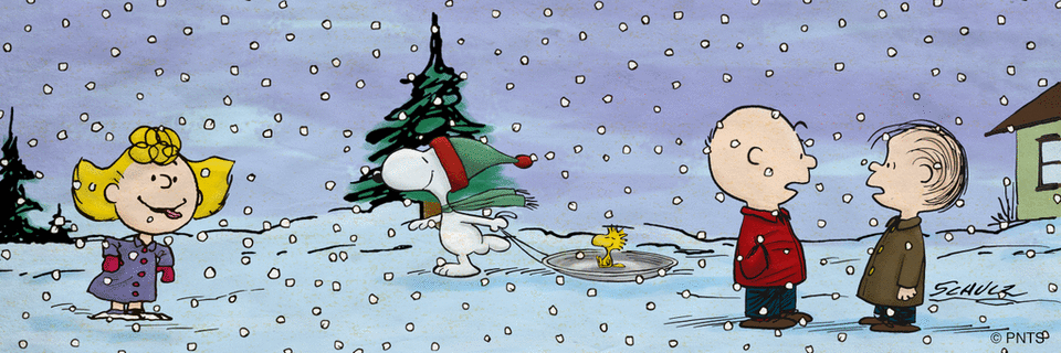 NoopyyLove's profile banner image