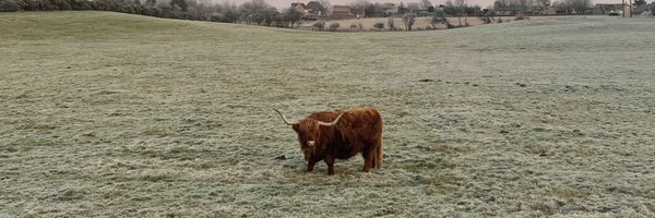 Peter_Hopton Profile Banner