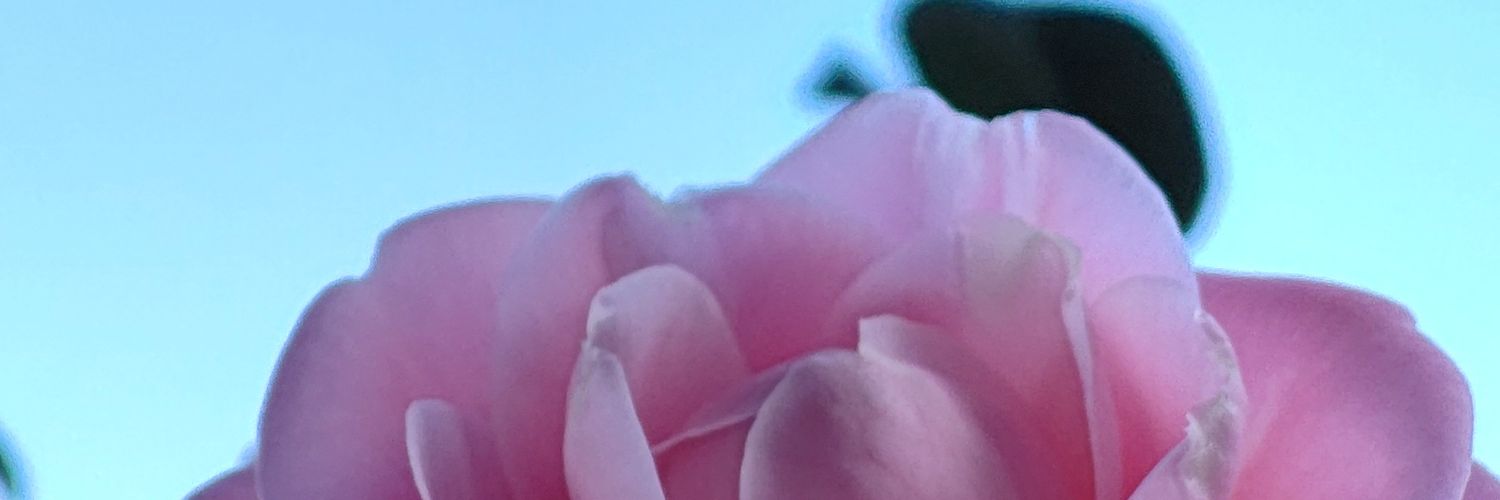 yahiro_n's profile banner image