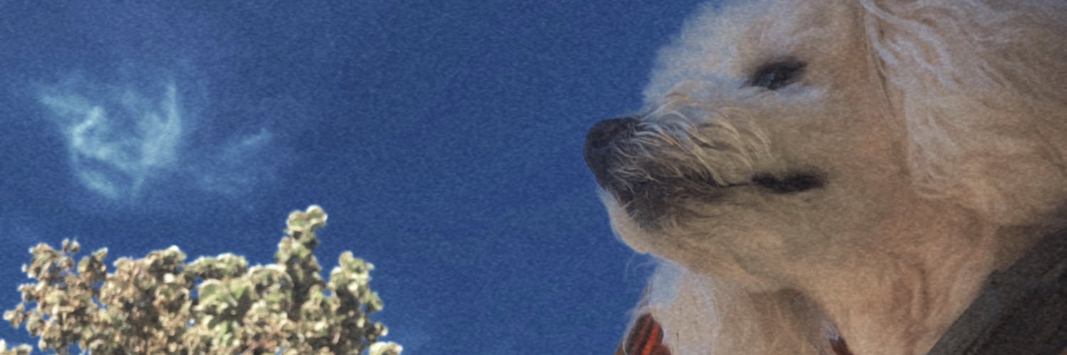 AgusPratto's profile banner image