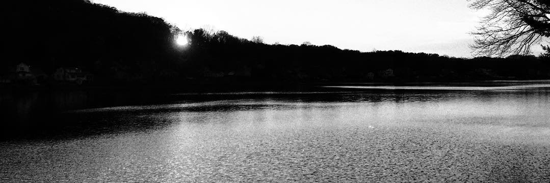 AmyDomestico's profile banner image
