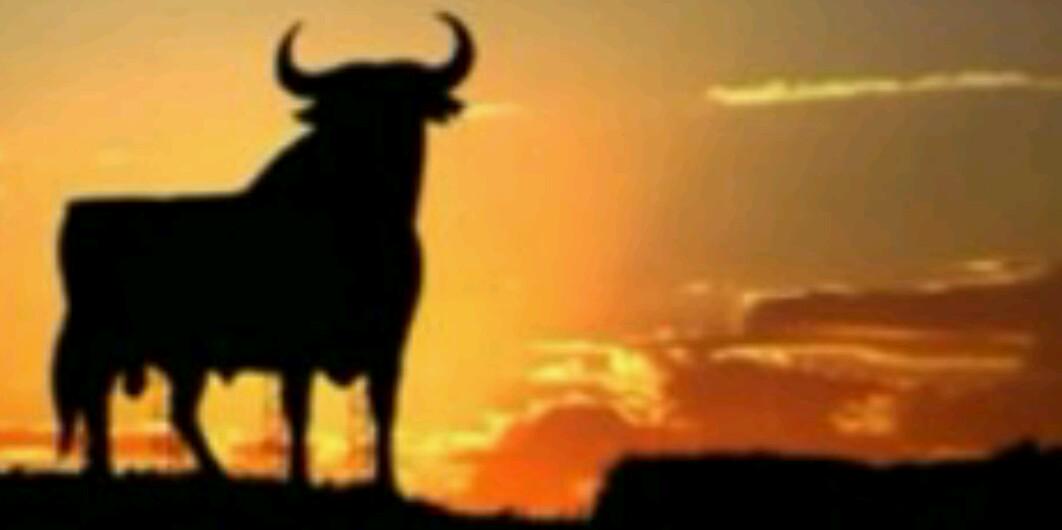 PabloPagomo11's profile banner image