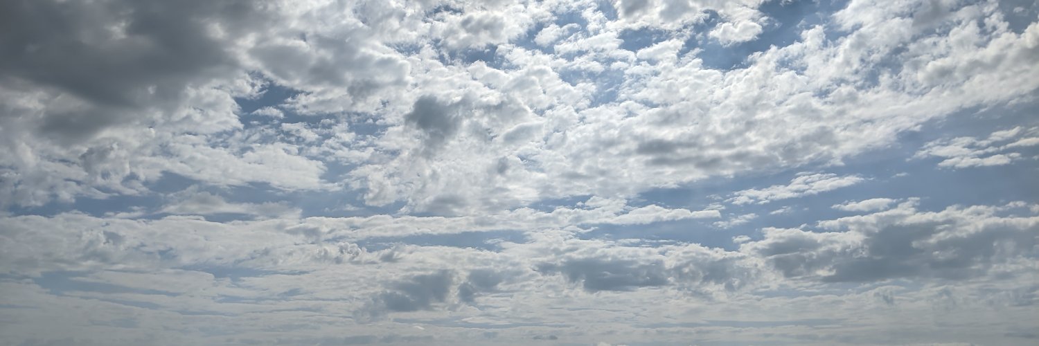 MichelleMSaenz's profile banner image