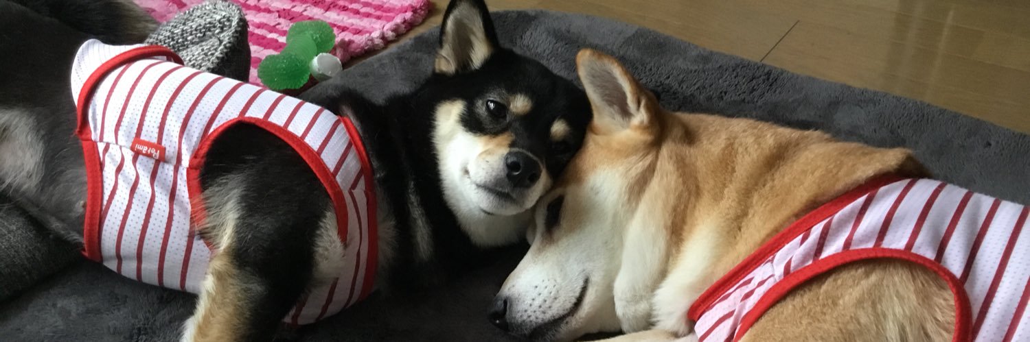 stream2924's profile banner image
