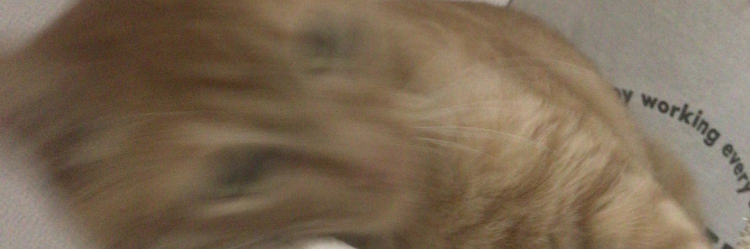 jun_Pudding's profile banner image