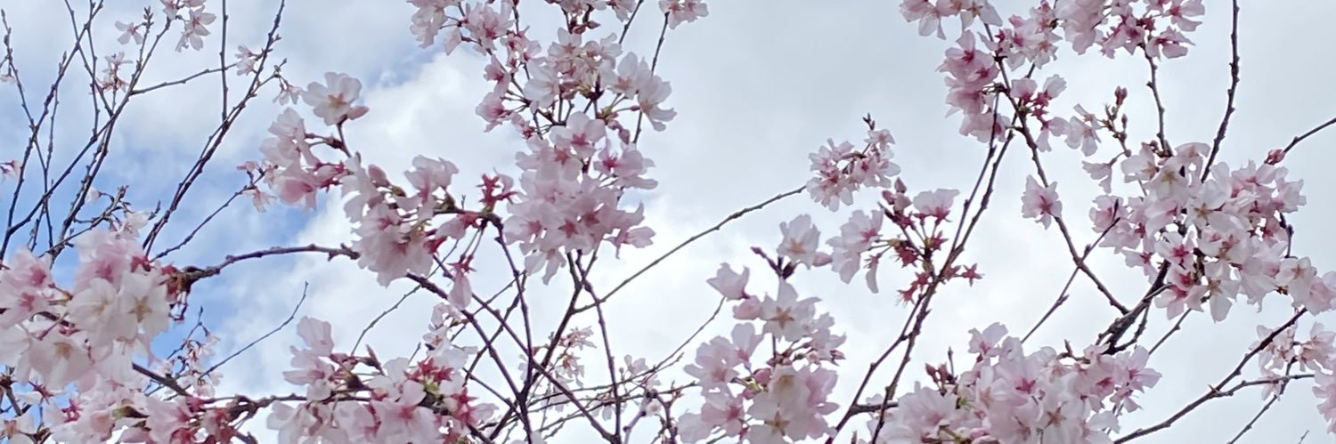 tabbitybabbity's profile banner image