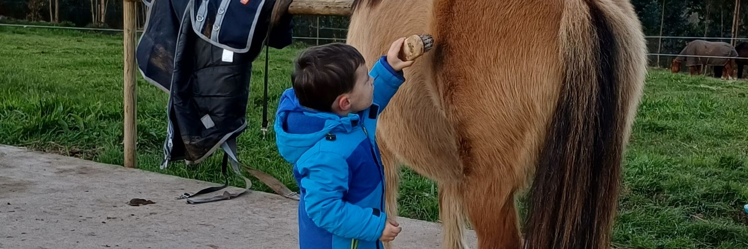 Fuensanta Pumar Gómez banner