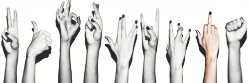 LenaShinton's profile banner image
