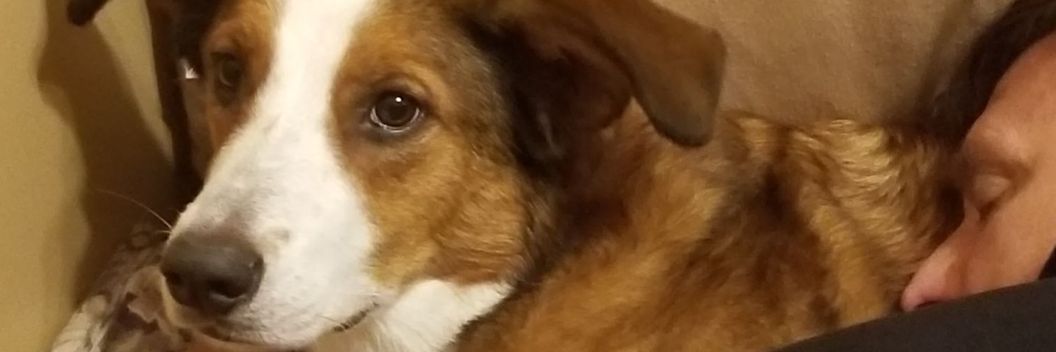 markstevens62's profile banner image