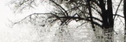 NNoxious's profile banner image