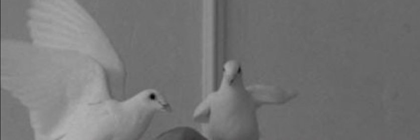 Lom_x21's profile banner image