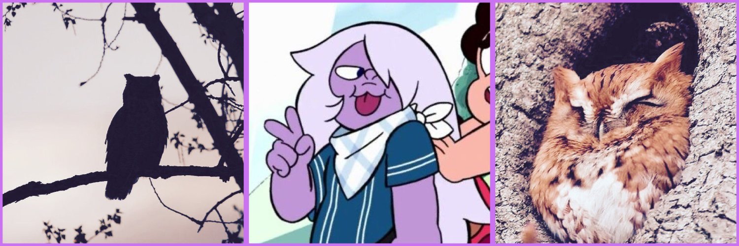 transgalchloe's profile banner image