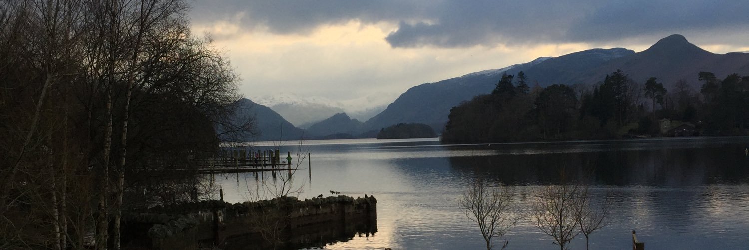 Farshad Arvin banner