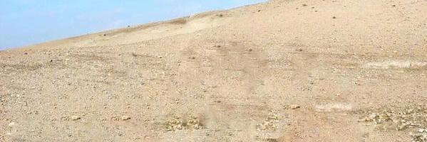 ISisiSssIS's profile banner image