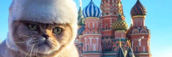 zvin_flack's profile banner image