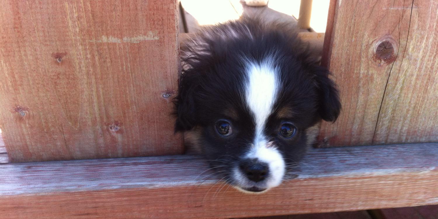 David Bry 🇨🇦 banner