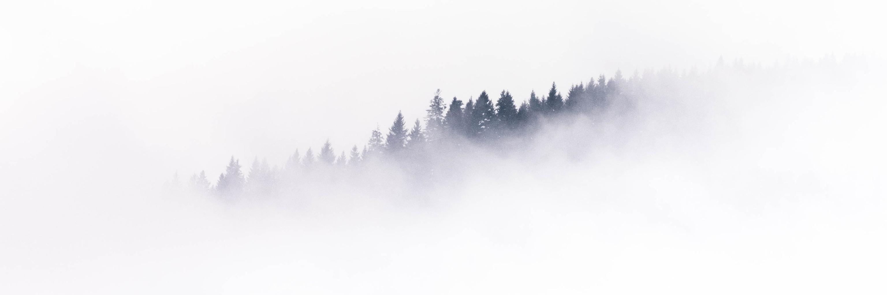 brsmncr's profile banner image
