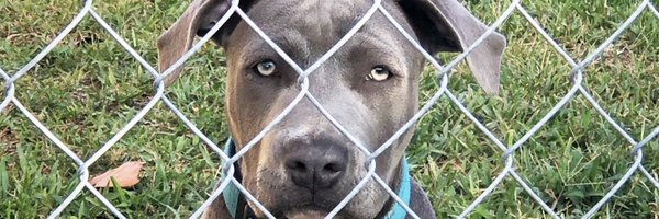 _KingDW Profile Banner