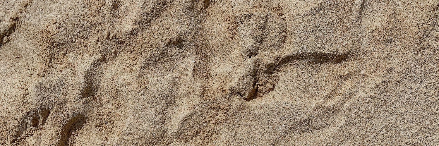 shitlhouettte's profile banner image