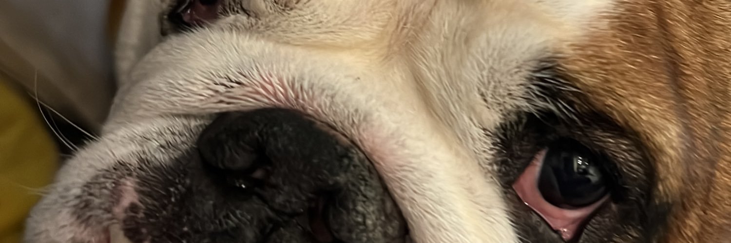DHChogg's profile banner image