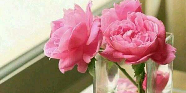 om_Almo3ta9m's profile banner image