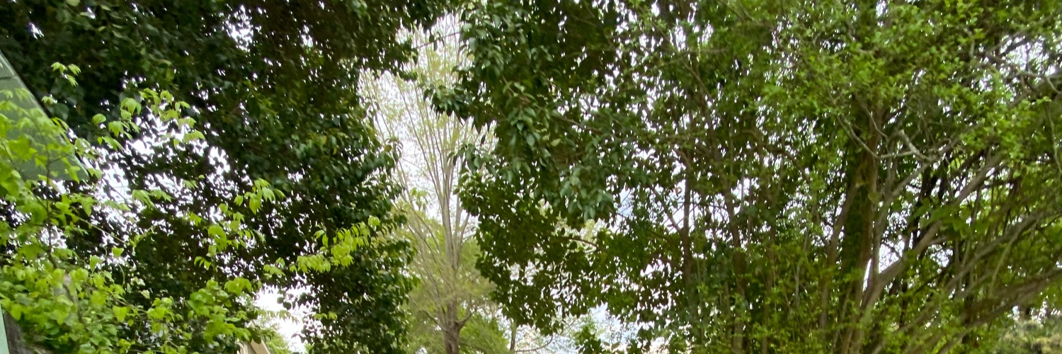 jasminearmss's profile banner image