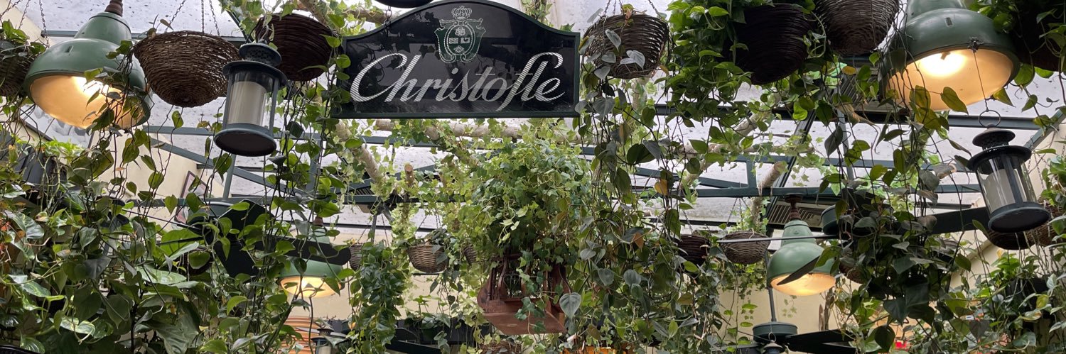 🌿💫mish 💫🌿 banner