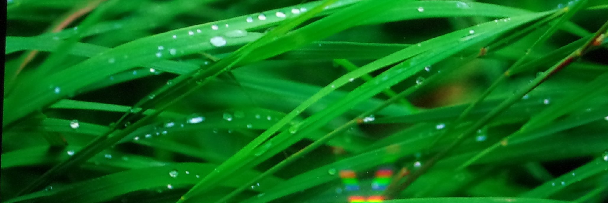 MyKinsala's profile banner image