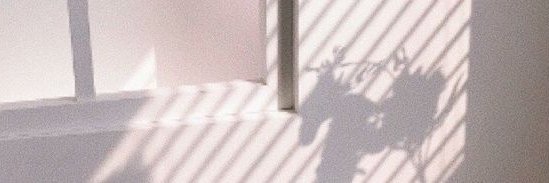 sil1ette's profile banner image
