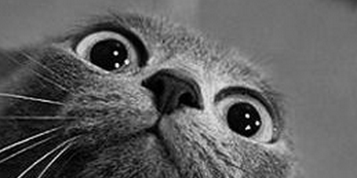 deksinspace's profile banner image