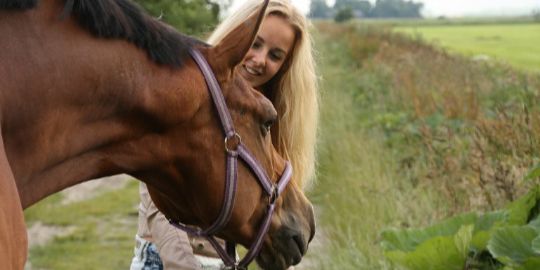 nikkihoekstra's profile banner image
