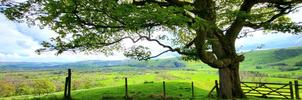 Bombilly_ Profile Banner